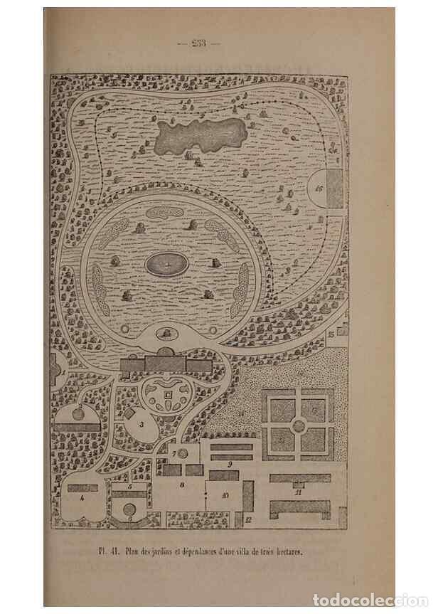 Collezionismo di Riviste e Giornali: Reproducci&oacute;n/Reproduction 49264950272: Belgique horticole.. Li&eacute;ge.. - Morren, Charles,