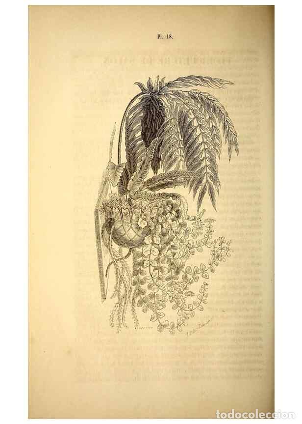 Collezionismo di Riviste e Giornali: Reproducci&oacute;n/Reproduction 49268878483: Belgique horticole.. Li&eacute;ge.. - Morren, Charles,