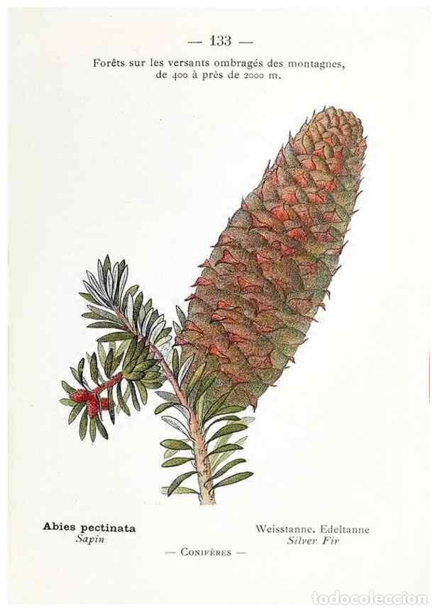 Sammeln von Zeitschriften und Zeitungen: Reproducci&oacute;n/Reproduction 49345102943: Nouvelle flore colori&eacute;e de poche des Alpes et des Pyr&eacute;n&eacute;es..