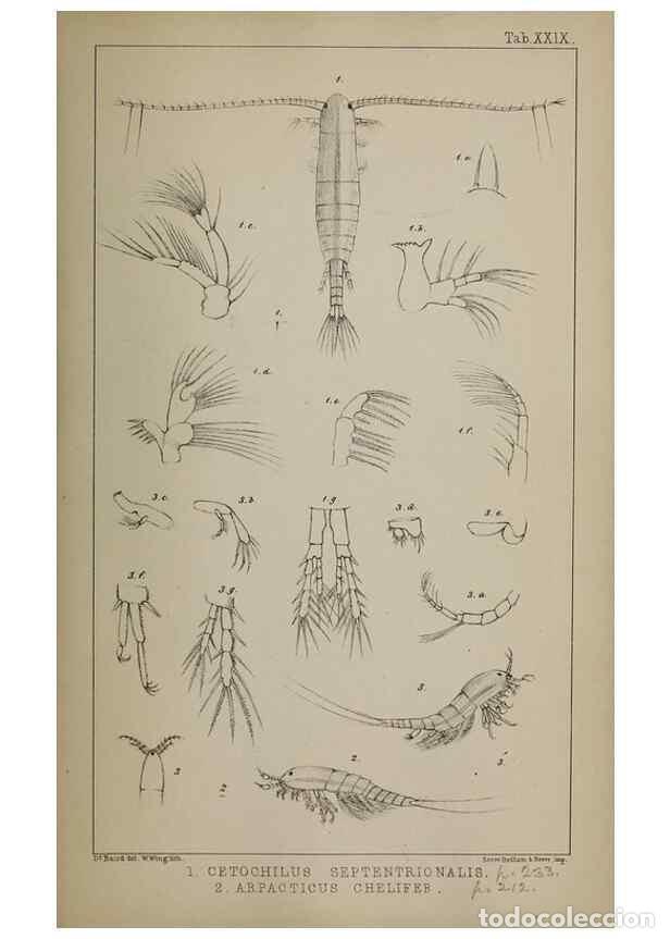 Sammeln von Zeitschriften und Zeitungen: Reproducci&oacute;n/Reproduction 49691311656: The natural history of the British Entomostraca.. London,The