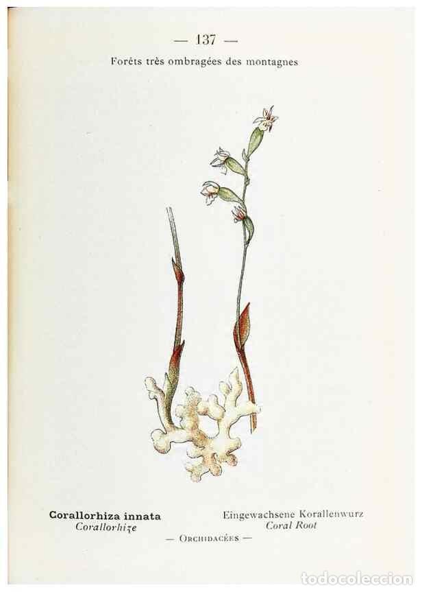 Sammeln von Zeitschriften und Zeitungen: Reproducci&oacute;n/Reproduction 49345565556: Nouvelle flore colori&eacute;e de poche des Alpes et des Pyr&eacute;n&eacute;es..