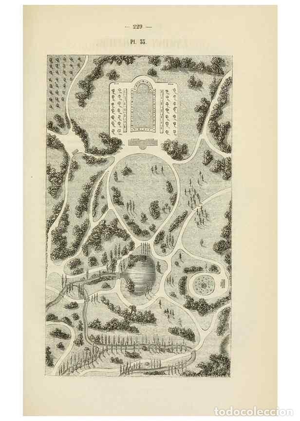 Sammeln von Zeitschriften und Zeitungen: Reproducci&oacute;n/Reproduction 49269185497: Belgique horticole.. Li&eacute;ge.. - Morren, Charles,