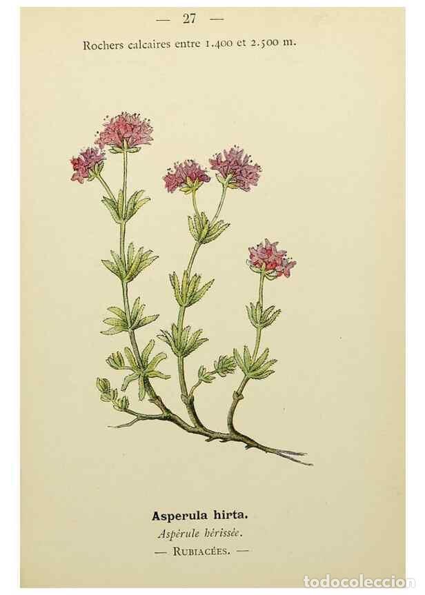 Collection Magazines and Newspapers: Reproducci&oacute;n/Reproduction 49345397661: Nouvelle flore colori&eacute;e de poche des Alpes et des Pyr&eacute;n&eacute;es..