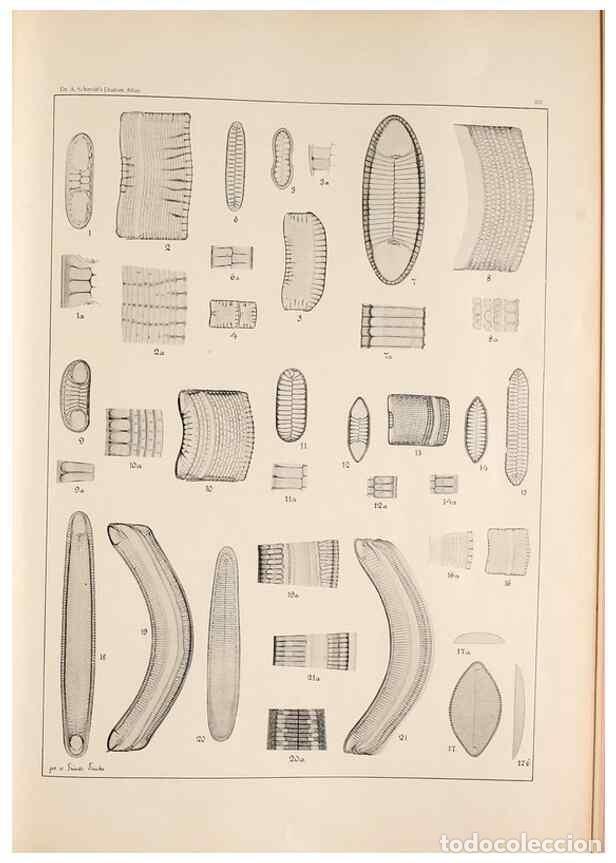 Colecionismo de Revistas e Jornais: Reproducci&oacute;n/Reproduction 49385798802: Atlas der Diatomaceen-Kunde /. Leipzig :O.R. Reisland,[1874-1