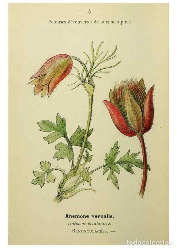 Sammeln von Zeitschriften und Zeitungen: Reproducci&oacute;n/Reproduction 49345388356: Nouvelle flore colori&eacute;e de poche des Alpes et des Pyr&eacute;n&eacute;es..