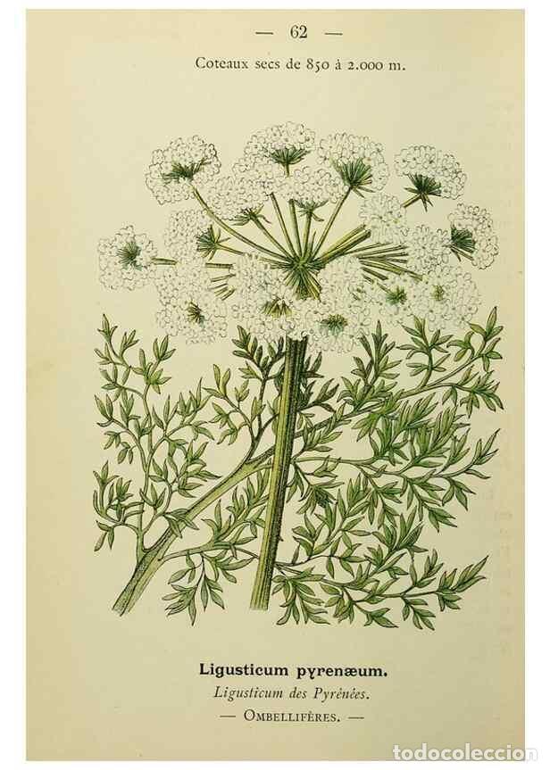 Collectionnisme de Revues et Journaux: Reproducci&oacute;n/Reproduction 49345419136: Nouvelle flore colori&eacute;e de poche des Alpes et des Pyr&eacute;n&eacute;es..