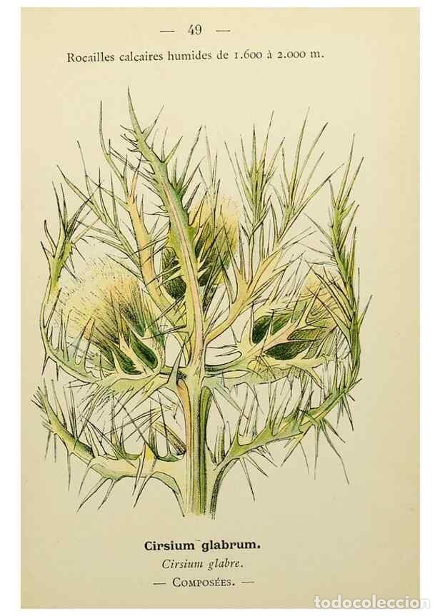 Collectionnisme de Revues et Journaux: Reproducci&oacute;n/Reproduction 49345406331: Nouvelle flore colori&eacute;e de poche des Alpes et des Pyr&eacute;n&eacute;es..