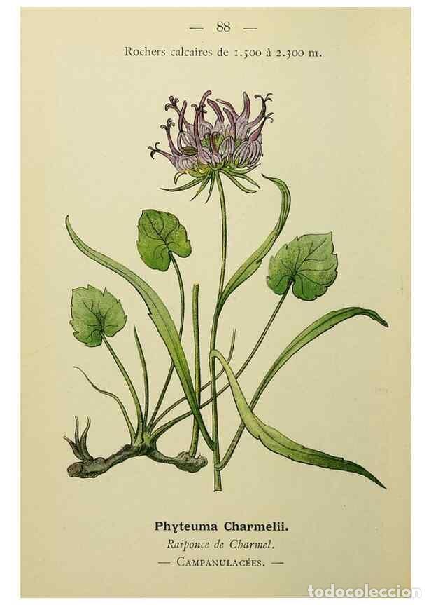 Sammeln von Zeitschriften und Zeitungen: Reproducci&oacute;n/Reproduction 49345642677: Nouvelle flore colori&eacute;e de poche des Alpes et des Pyr&eacute;n&eacute;es..