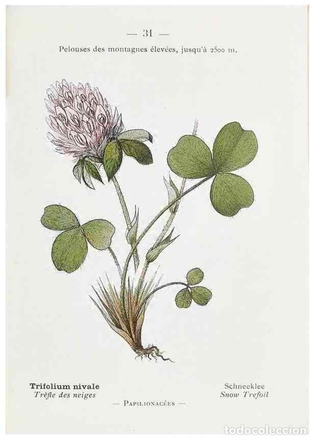 Sammeln von Zeitschriften und Zeitungen: Reproducci&oacute;n/Reproduction 49345505406: Nouvelle flore colori&eacute;e de poche des Alpes et des Pyr&eacute;n&eacute;es..