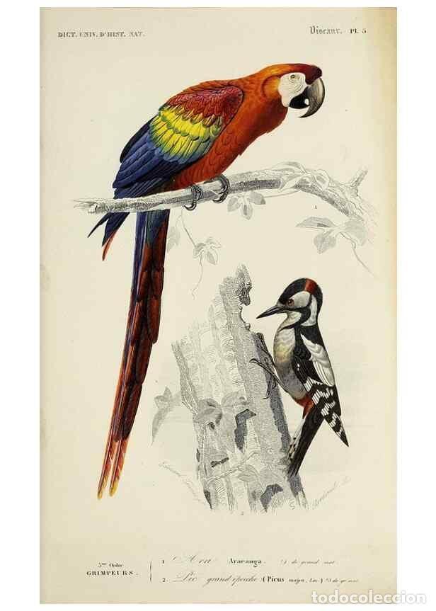 Sammeln von Zeitschriften und Zeitungen: Reproducci&oacute;n/Reproduction 49724056956: Dictionnaire universel d'histoire naturelle :. Paris :Chez le