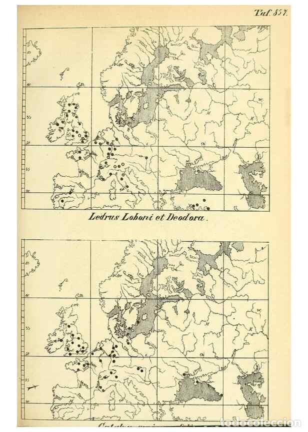 Coleccionismo de Revistas y Peri&oacute;dicos: Reproducci&oacute;n/Reproduction 49705906162: Gartenflora.. Erlangen :F. Enke,1852-1940.. - Deutsche Garten