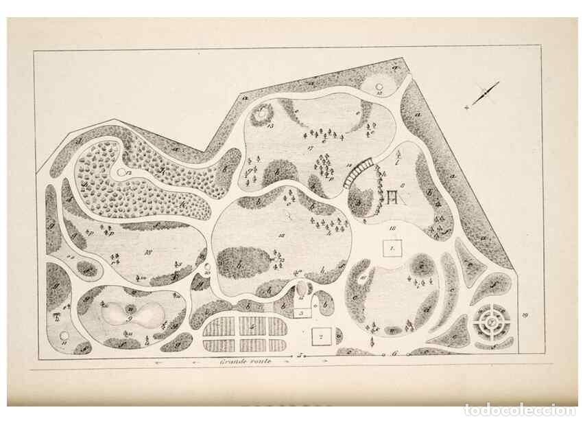 Collection Magazines and Newspapers: Reproducci&oacute;n/Reproduction 49684460052: L'Illustration horticole :. Gand, Belgium :Imprimerie et lith