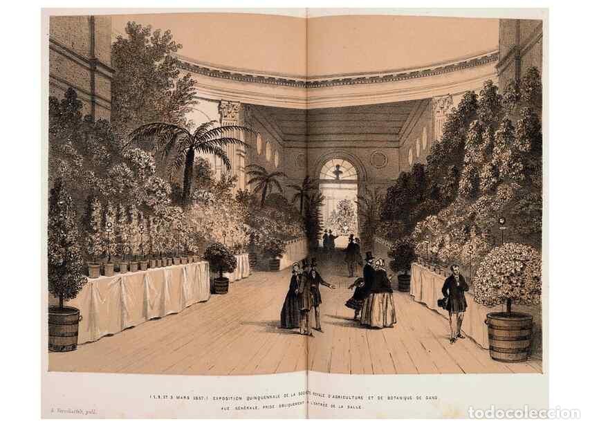 Colecionismo de Revistas e Jornais: Reproducci&oacute;n/Reproduction 49683905893: L'Illustration horticole :. Gand, Belgium :Imprimerie et lith