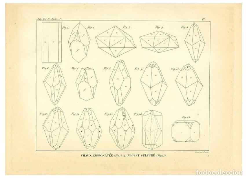 Collezionismo di Riviste e Giornali: Reproducci&oacute;n/Reproduction 49773316961: Annales des sciences naturelles :. Paris :Crochard. - Feuguer