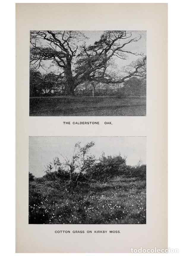 Collection Magazines and Newspapers: Reproducci&oacute;n/Reproduction 49742756508: The flora of the Liverpool district /. Liverpool :D. Marples