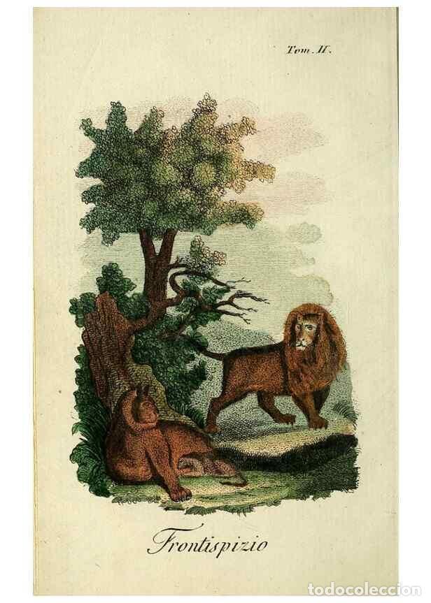 Coleccionismo de Revistas y Peri&oacute;dicos: Reproducci&oacute;n/Reproduction 49742790372: Il gabinetto del giovane naturalista. Milano :Presso Omobono