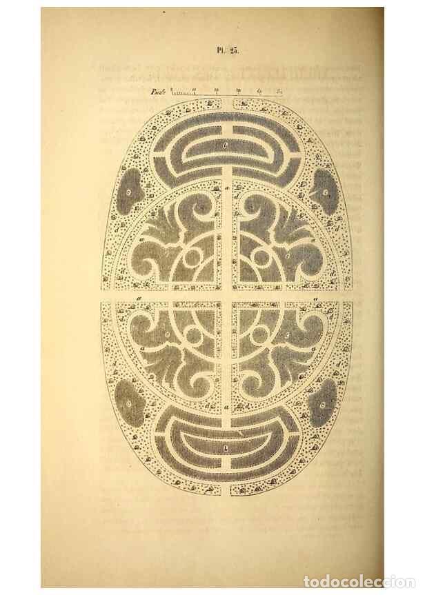 Collection Magazines and Newspapers: Reproducci&oacute;n/Reproduction 49268880713: Belgique horticole.. Li&eacute;ge.. - Morren, Charles,