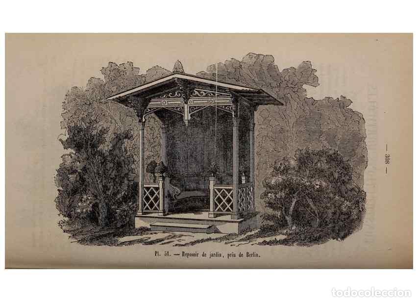 Collectionnisme de Revues et Journaux: Reproducci&oacute;n/Reproduction 49264295538: Belgique horticole.. Li&eacute;ge.. - Morren, Charles,