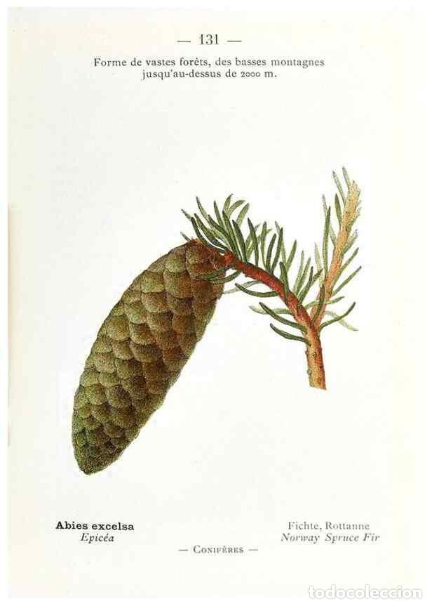 Collectionnisme de Revues et Journaux: Reproducci&oacute;n/Reproduction 49345102118: Nouvelle flore colori&eacute;e de poche des Alpes et des Pyr&eacute;n&eacute;es..