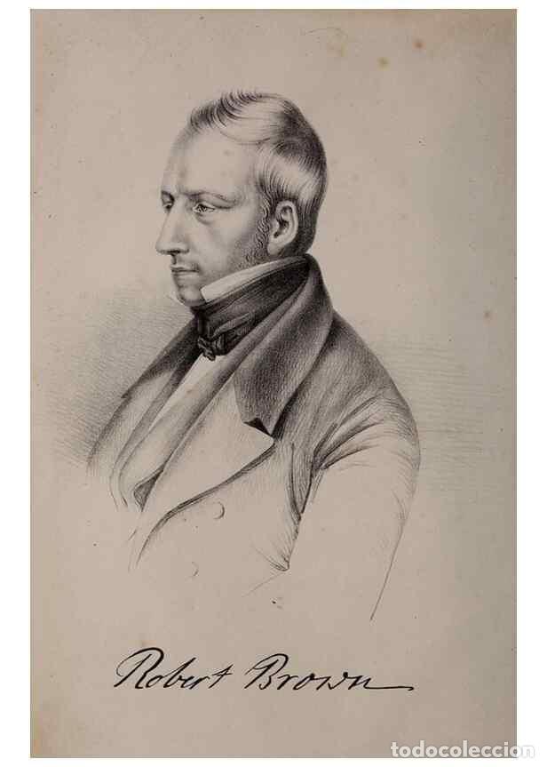 Colecionismo de Revistas e Jornais: Reproducci&oacute;n/Reproduction 49264202203: Belgique horticole.. Li&eacute;ge.. - Morren, Charles,