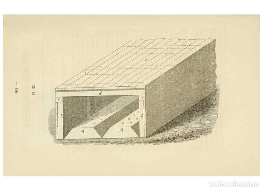 Collezionismo di Riviste e Giornali: Reproducci&oacute;n/Reproduction 49268525613: Belgique horticole.. Li&eacute;ge.. - Morren, Charles,