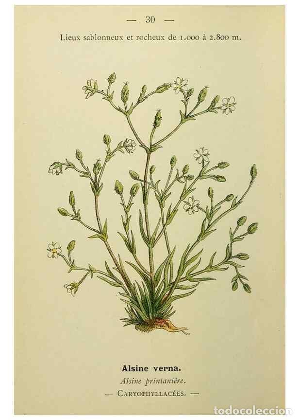 Collezionismo di Riviste e Giornali: Reproducci&oacute;n/Reproduction 49345612082: Nouvelle flore colori&eacute;e de poche des Alpes et des Pyr&eacute;n&eacute;es..
