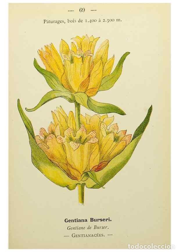 Collectionnisme de Revues et Journaux: Reproducci&oacute;n/Reproduction 49345422121: Nouvelle flore colori&eacute;e de poche des Alpes et des Pyr&eacute;n&eacute;es..