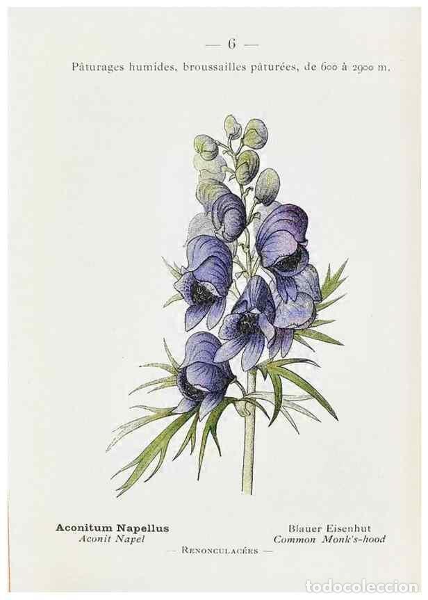 Collectionnisme de Revues et Journaux: Reproducci&oacute;n/Reproduction 49345708172: Nouvelle flore colori&eacute;e de poche des Alpes et des Pyr&eacute;n&eacute;es..