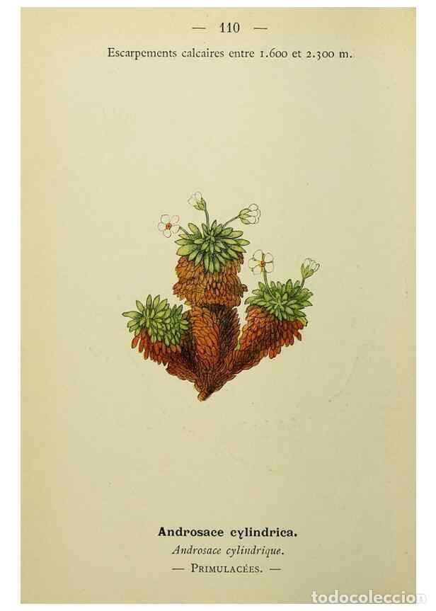 Collectionnisme de Revues et Journaux: Reproducci&oacute;n/Reproduction 49344870483: Nouvelle flore colori&eacute;e de poche des Alpes et des Pyr&eacute;n&eacute;es..