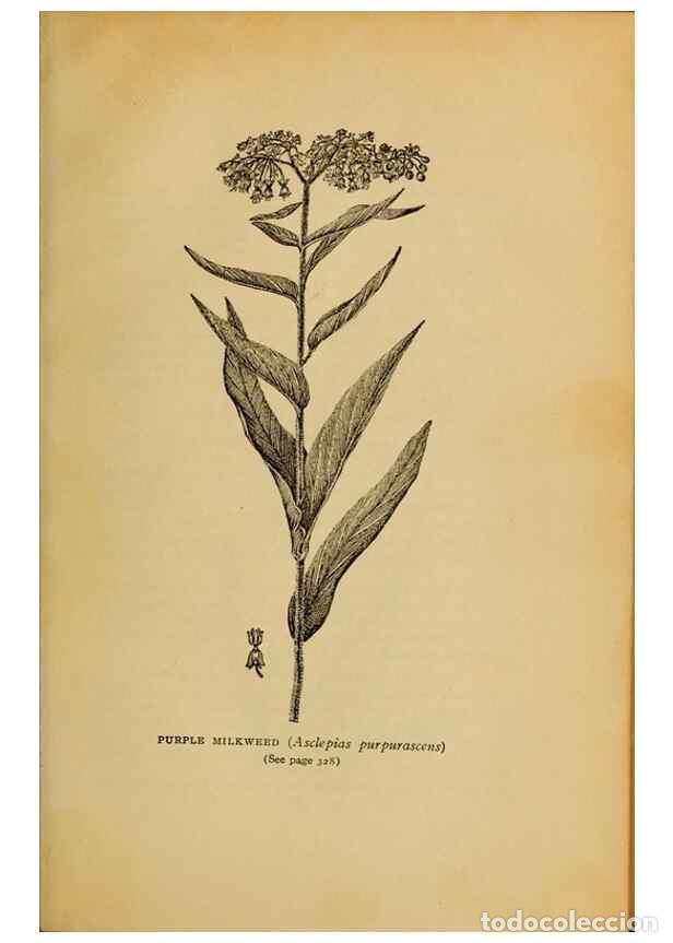 Collectionnisme de Revues et Journaux: Reproducci&oacute;n/Reproduction 49304428382: Harper's guide to wild flowers,. New York,Harper,1912.. - Cre