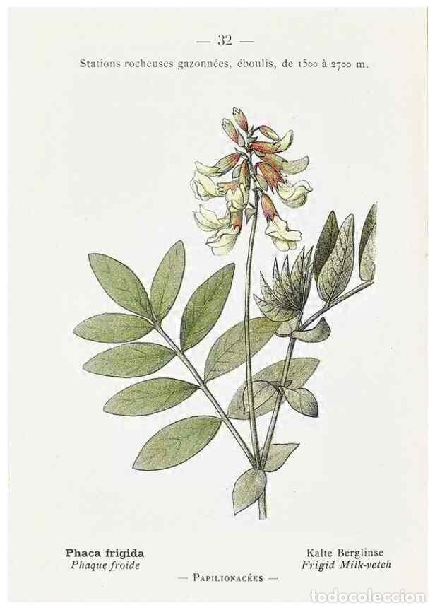 Collectionnisme de Revues et Journaux: Reproducci&oacute;n/Reproduction 49345505771: Nouvelle flore colori&eacute;e de poche des Alpes et des Pyr&eacute;n&eacute;es..