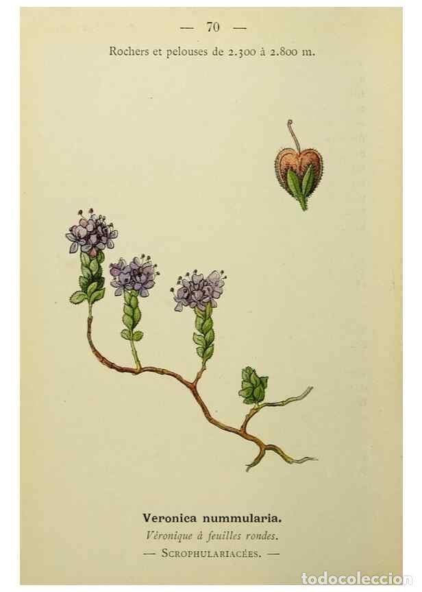 Collectionnisme de Revues et Journaux: Reproducci&oacute;n/Reproduction 49345635382: Nouvelle flore colori&eacute;e de poche des Alpes et des Pyr&eacute;n&eacute;es..