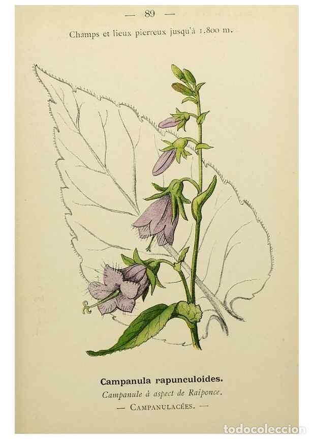 Collectionnisme de Revues et Journaux: Reproducci&oacute;n/Reproduction 49345430031: Nouvelle flore colori&eacute;e de poche des Alpes et des Pyr&eacute;n&eacute;es..