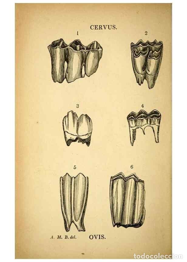 Collectionnisme de Revues et Journaux: Reproducci&oacute;n/Reproduction 49751005992: The natural history of South Devon :. Plymouth,Printed and pu