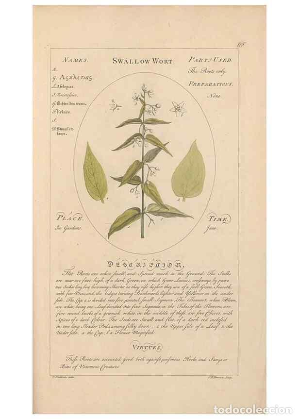 Collection Magazines and Newspapers: Reproducci&oacute;n/Reproduction 49788086396: Botanicum medicinale :. London :Printed for J. Millan, opposi