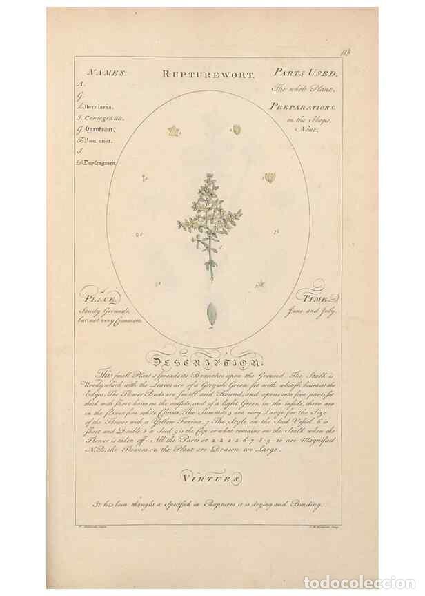 Collection Magazines and Newspapers: Reproducci&oacute;n/Reproduction 49788406327: Botanicum medicinale :. London :Printed for J. Millan, opposi