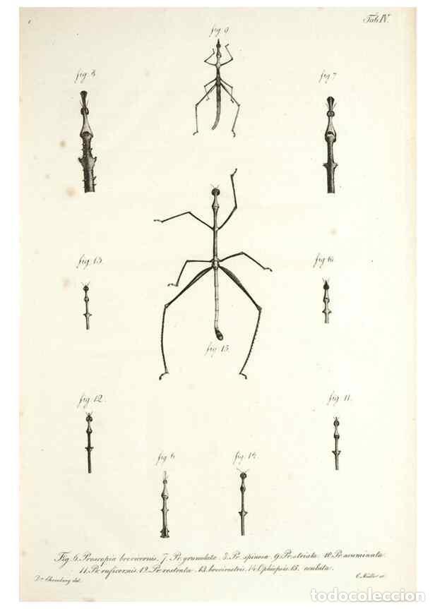 Sammeln von Zeitschriften und Zeitungen: Reproducci&oacute;n/Reproduction 49578472563: Horae physicae Berolinenses :. Bonnae :Adolphi Marcus,1820..