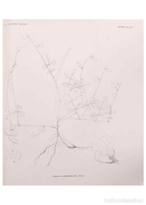 Sammeln von Zeitschriften und Zeitungen: Reproducci&oacute;n/Reproduction 49798737773: Publication.. Chicago. :Field Columbian Museum,1895-1909.. -