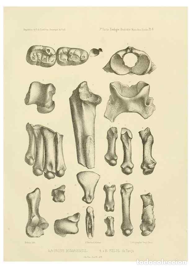 Collectionnisme de Revues et Journaux: Reproducci&oacute;n/Reproduction 49813758796: Exp&eacute;dition dans les parties centrales de l'Am&eacute;rique du Sud. P