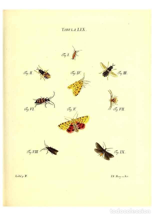 Collezionismo di Riviste e Giornali: Reproducci&oacute;n/Reproduction 49810601872: Iacobi Christiani Schaefferi s.s. theologiae et philosophiae