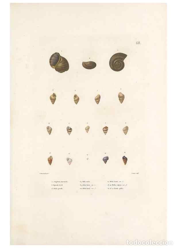 Collezionismo di Riviste e Giornali: Reproducci&oacute;n/Reproduction 49814520587: Voyage autour du monde, entrepris par ordre du roi.. Paris,Ch