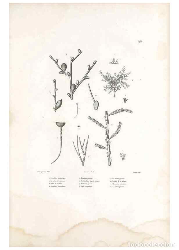 Sammeln von Zeitschriften und Zeitungen: Reproducci&oacute;n/Reproduction 49813679278: Voyage autour du monde, entrepris par ordre du roi.. Paris,Ch