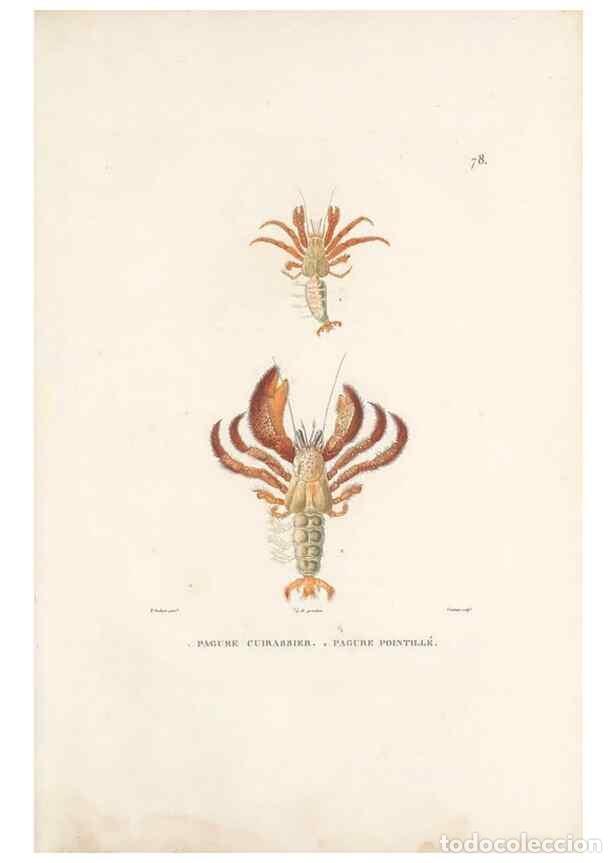 Collection Magazines and Newspapers: Reproducci&oacute;n/Reproduction 49813675543: Voyage autour du monde, entrepris par ordre du roi.. Paris,Ch