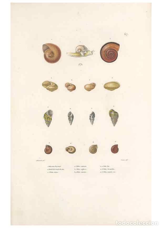 Collection Magazines and Newspapers: Reproducci&oacute;n/Reproduction 49814520397: Voyage autour du monde, entrepris par ordre du roi.. Paris,Ch