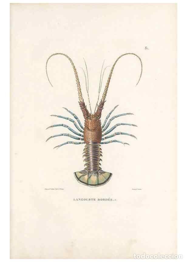 Collectionnisme de Revues et Journaux: Reproducci&oacute;n/Reproduction 49814214046: Voyage autour du monde, entrepris par ordre du roi.. Paris,Ch