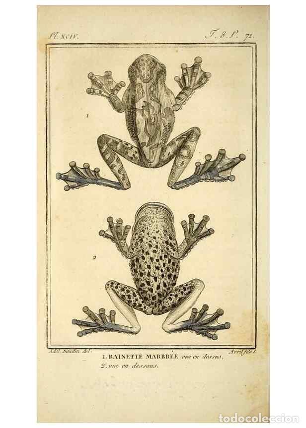 Collectionnisme de Revues et Journaux: Reproducci&oacute;n/Reproduction 49814238691: Histoire naturelle, g&eacute;n&eacute;rale et particuli&egrave;re, des reptiles. A