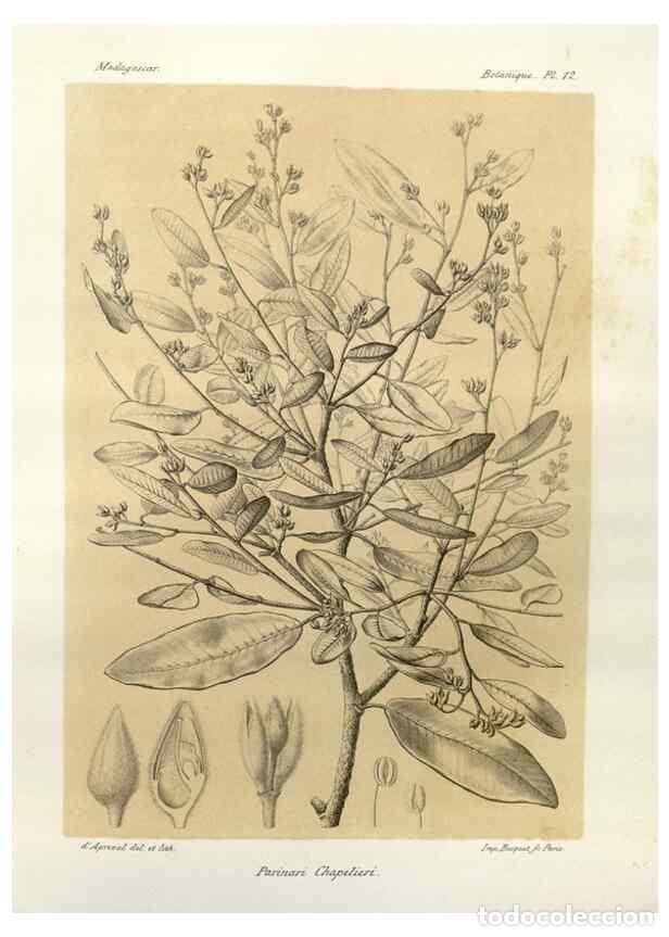 Sammeln von Zeitschriften und Zeitungen: Reproducci&oacute;n/Reproduction 49785830101: Histoire physique, naturelle, et politique de Madagascar. Par