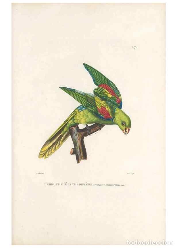 Sammeln von Zeitschriften und Zeitungen: Reproducci&oacute;n/Reproduction 49813662013: Voyage autour du monde, entrepris par ordre du roi.. Paris,Ch