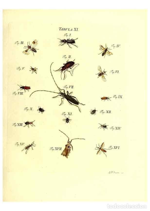 Collection Magazines and Newspapers: Reproducci&oacute;n/Reproduction 49810290396: Iacobi Christiani Schaefferi s.s. theologiae et philosophiae