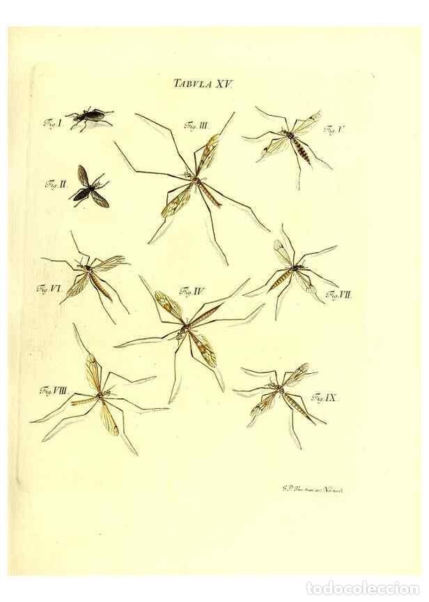 Collection Magazines and Newspapers: Reproducci&oacute;n/Reproduction 49810291206: Iacobi Christiani Schaefferi s.s. theologiae et philosophiae